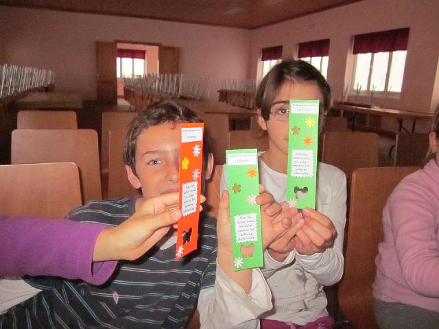 deficiencia38.JPG