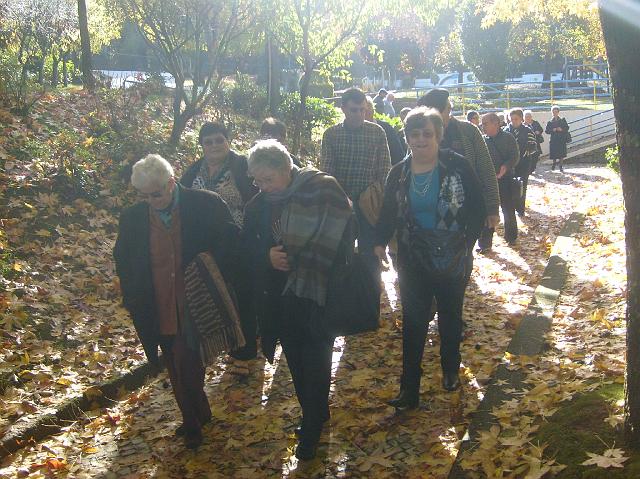 DSCF0126010.JPG