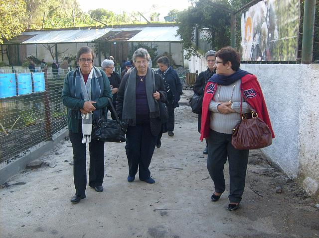 DSCF0126023.JPG