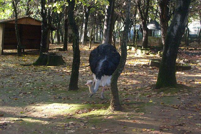 DSCF0126027.JPG