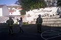 simulacro31